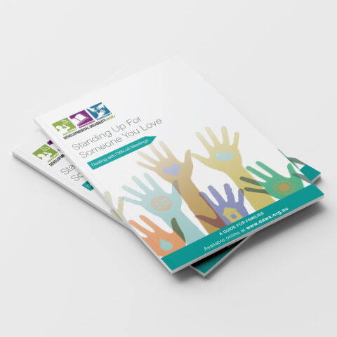 front cover image of the Standing up for someone you love resource