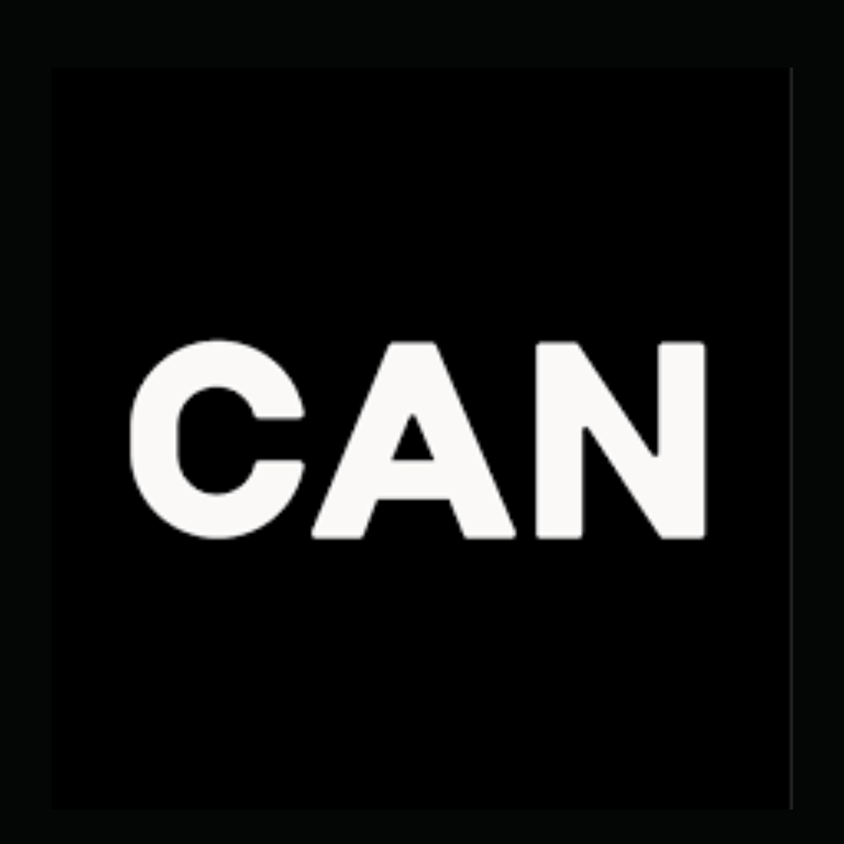 community arts network logo
