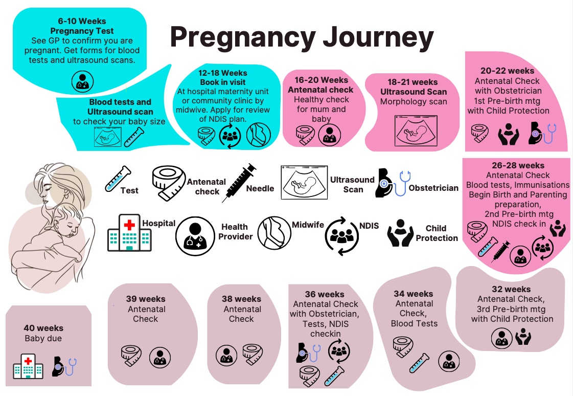 Poster of the Pregnancy Journey