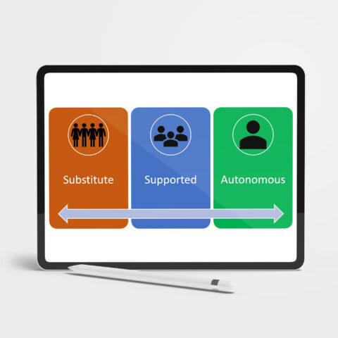 diagram of supported decision making across a spectrum