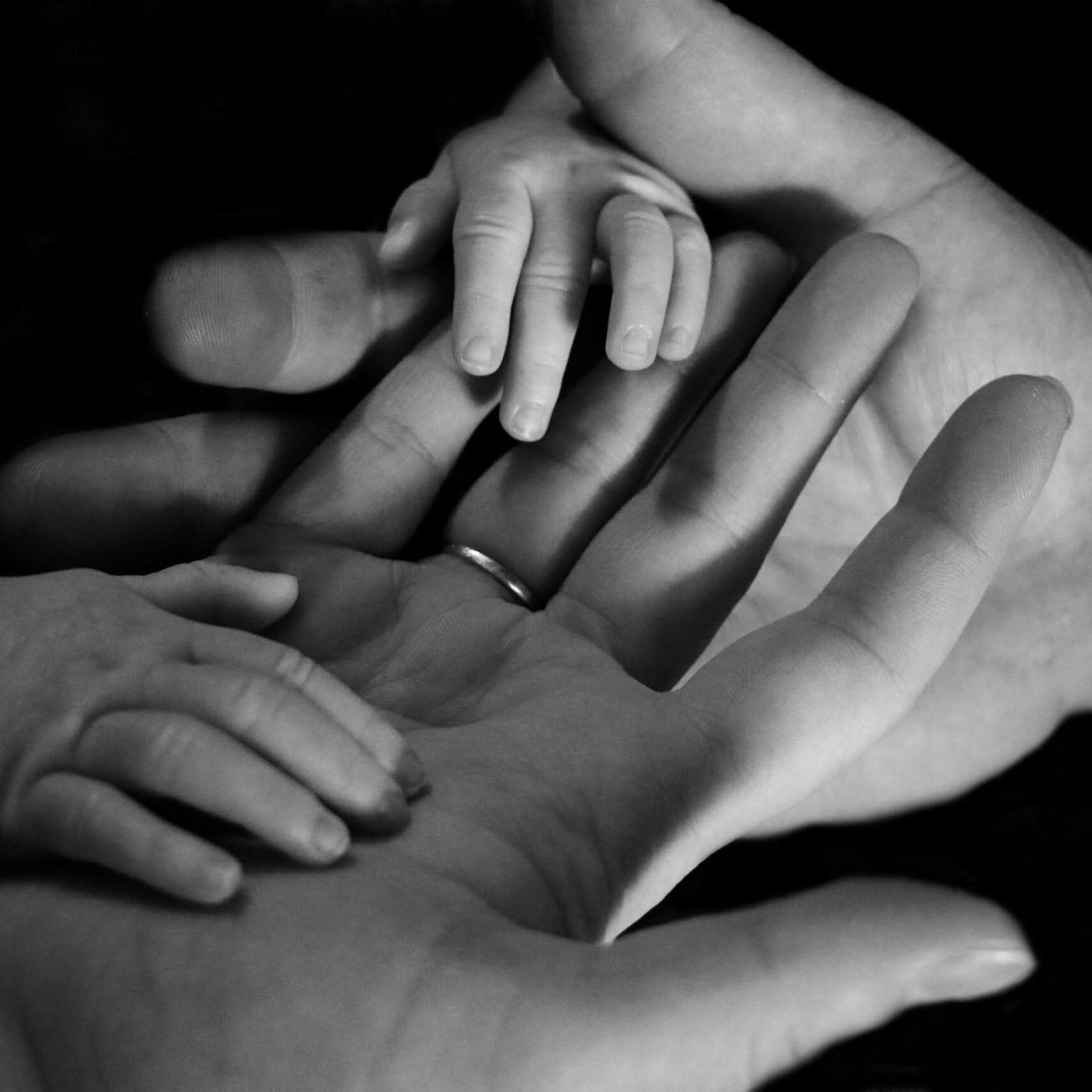 babies hands in parents hands