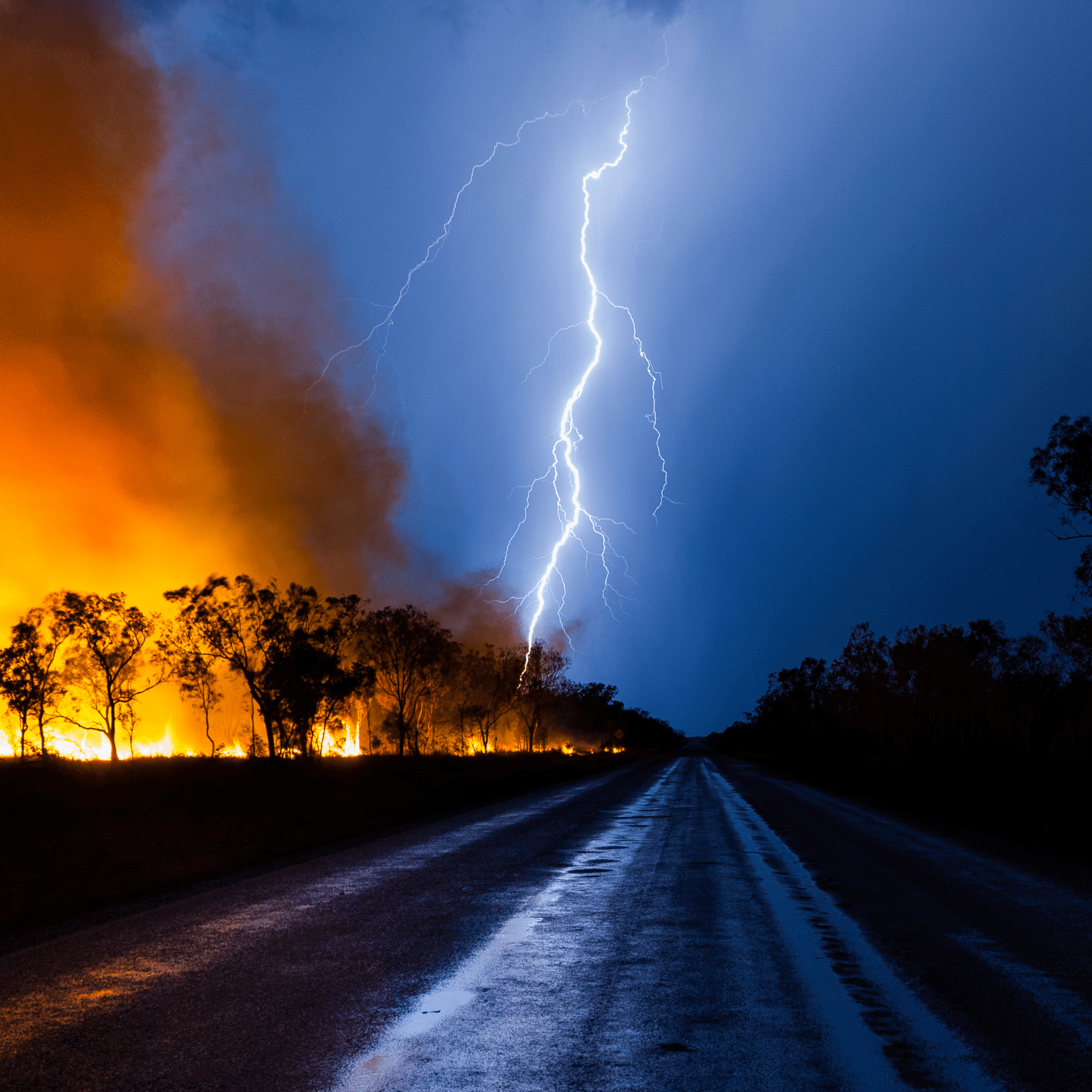 image description: bushfires, floods, and storms with a highway down the middle